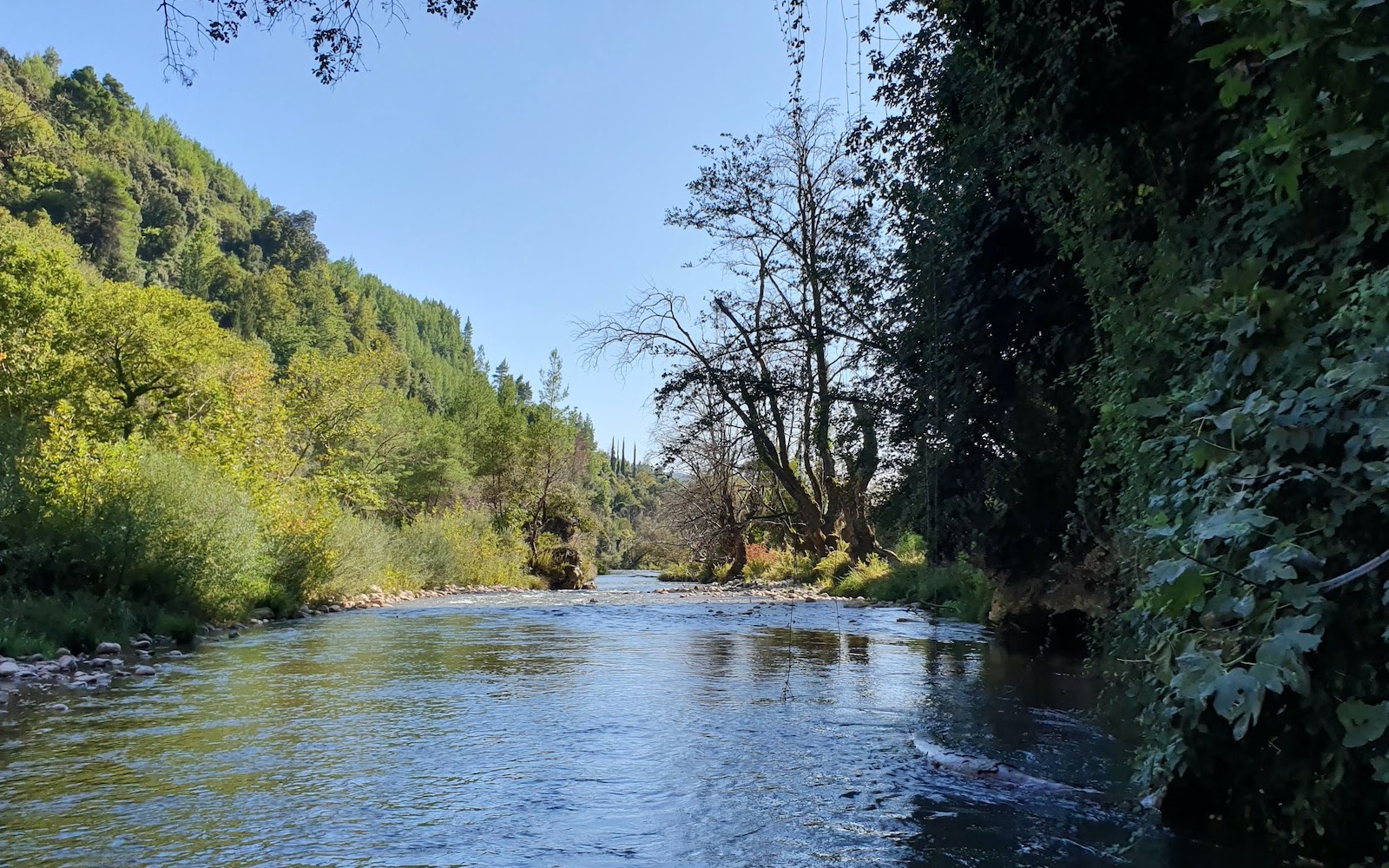 Nemouta waterfalls