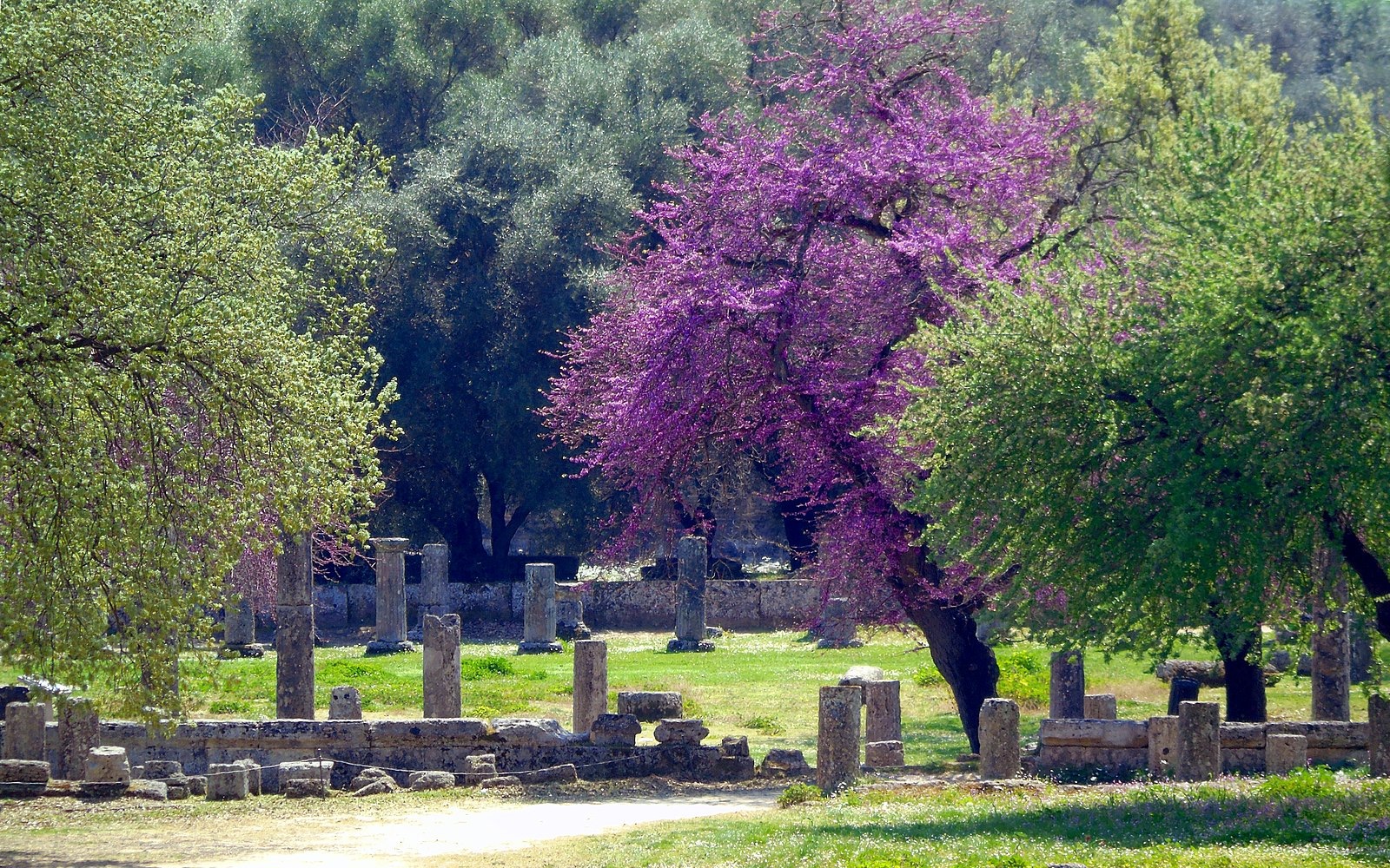 Ancient Olympia